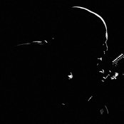 Seal - List pictures