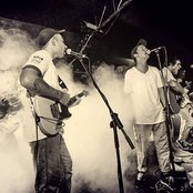 Dma's - List pictures