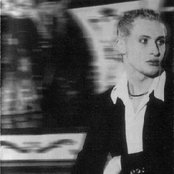 Shura - List pictures