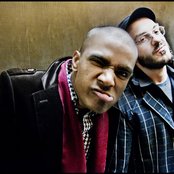 Magnolius - List pictures