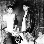 Psyche - List pictures