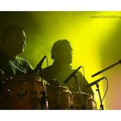 Melt Yourself Down - List pictures