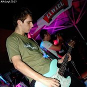 Rotten Bark - List pictures