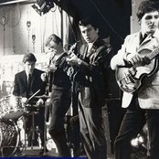 Searchers - List pictures