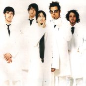 Finch - List pictures