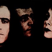 Concrete Blonde - List pictures