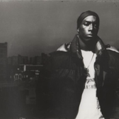 Big L - List pictures