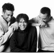3t - List pictures