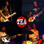 Tea - List pictures