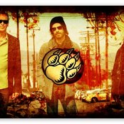 Winery Dogs - List pictures