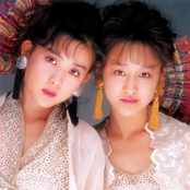 Wink - List pictures