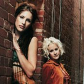 Court Yard Hounds - List pictures