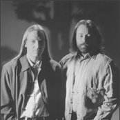 Deep Forest - List pictures