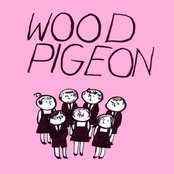 Woodpigeon - List pictures