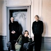 Qntal - List pictures