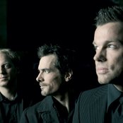 Camouflage - List pictures