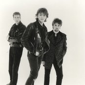 Icicle Works - List pictures