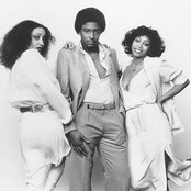 Dynasty - List pictures