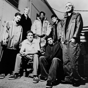 The Urge - List pictures