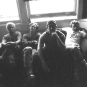 Polar Bear - List pictures