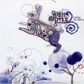 Josh Pyke - List pictures