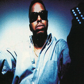 Domino - List pictures