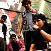 Divine - List pictures