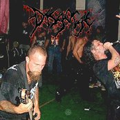 Disgorge - List pictures
