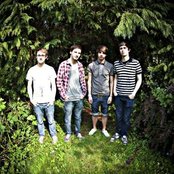 Cardinals - List pictures