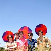 Of Montreal - List pictures