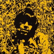 Seeds - List pictures