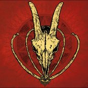 Black Rainbows - List pictures