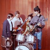 Monkeys - List pictures