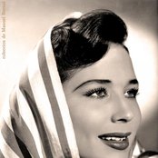 Flor Silvestre - List pictures