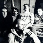 Burnt By The Sun - List pictures