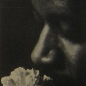 Laraaji - List pictures