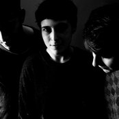 Flowers - List pictures