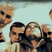 Dealema - List pictures