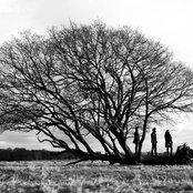 Messenger - List pictures