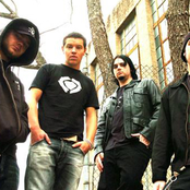 Sunk Loto - List pictures