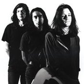 Loop - List pictures