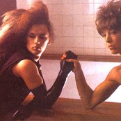 Dead Or Alive - List pictures