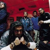 Ill Niño - List pictures