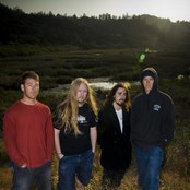 Cormorant - List pictures