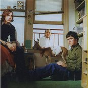 Modest Mouse - List pictures