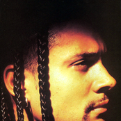 Chino Xl - List pictures