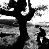 Jason Reeves - List pictures