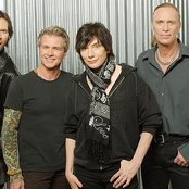 Mr. Big - List pictures