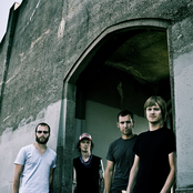 Pelican - List pictures