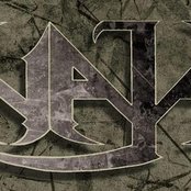 Naja - List pictures